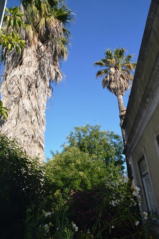 Lisbon Budget Inn Bagian luar foto